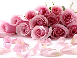 bouquet rose